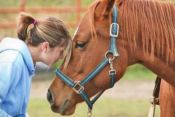 اسب‌درمانی؛ امید تازه برای بهبود ارتباطات کودکان اوتیسم