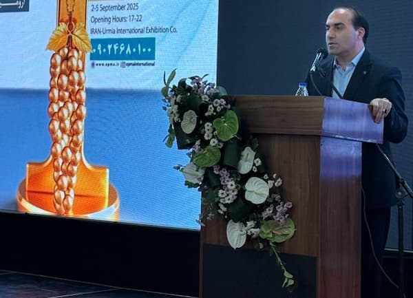 صدور هشت مجوز معدن طلا در آذربایجان غربی 