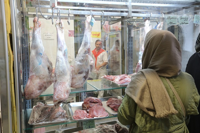 وضع بحرانی تولیدات دامی در آذربایجان غربی